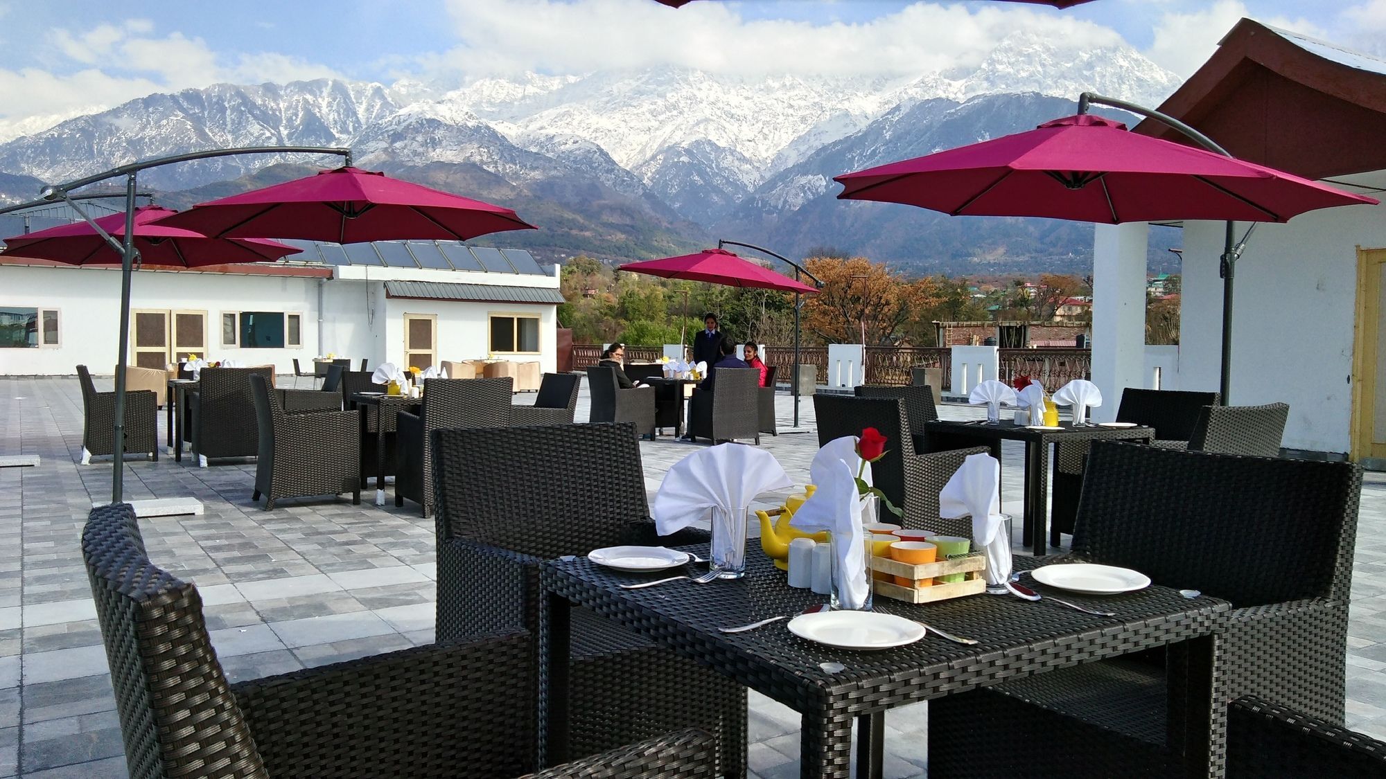 D'Polo Club&Spa Resort Dharamshala Exterior foto