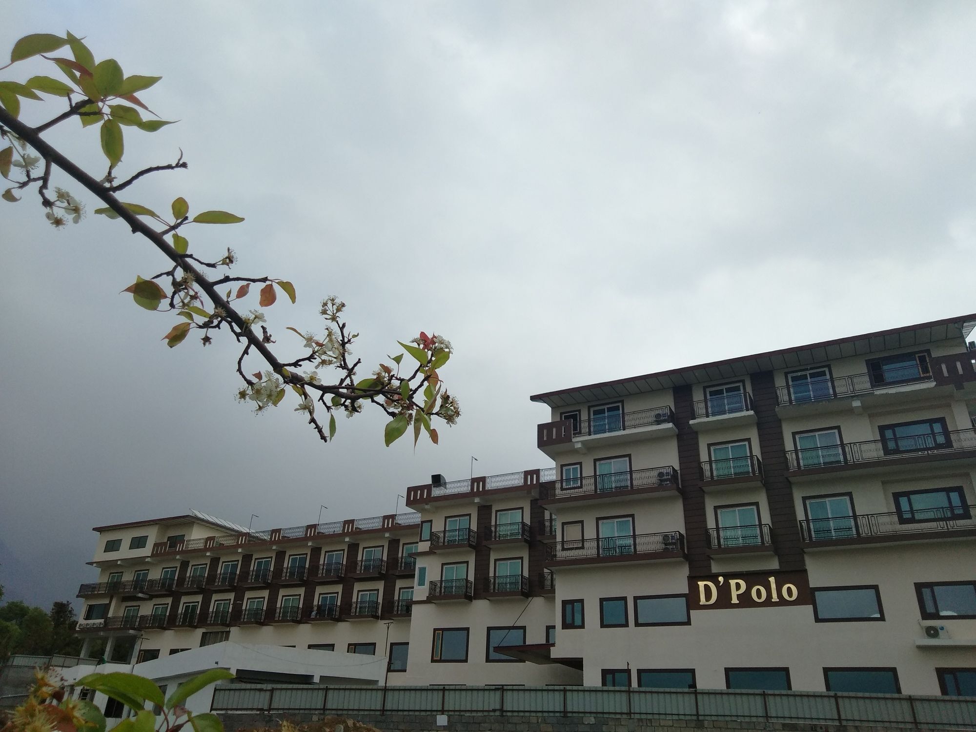 D'Polo Club&Spa Resort Dharamshala Exterior foto